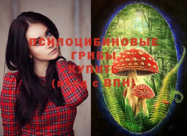 круглые Волосово