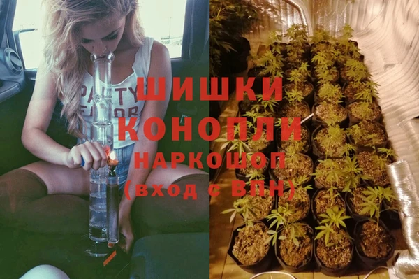 стаф Вязники