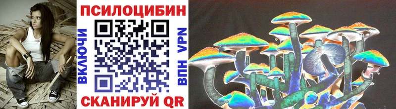 Псилоцибиновые грибы ЛСД мега как войти Елабуга